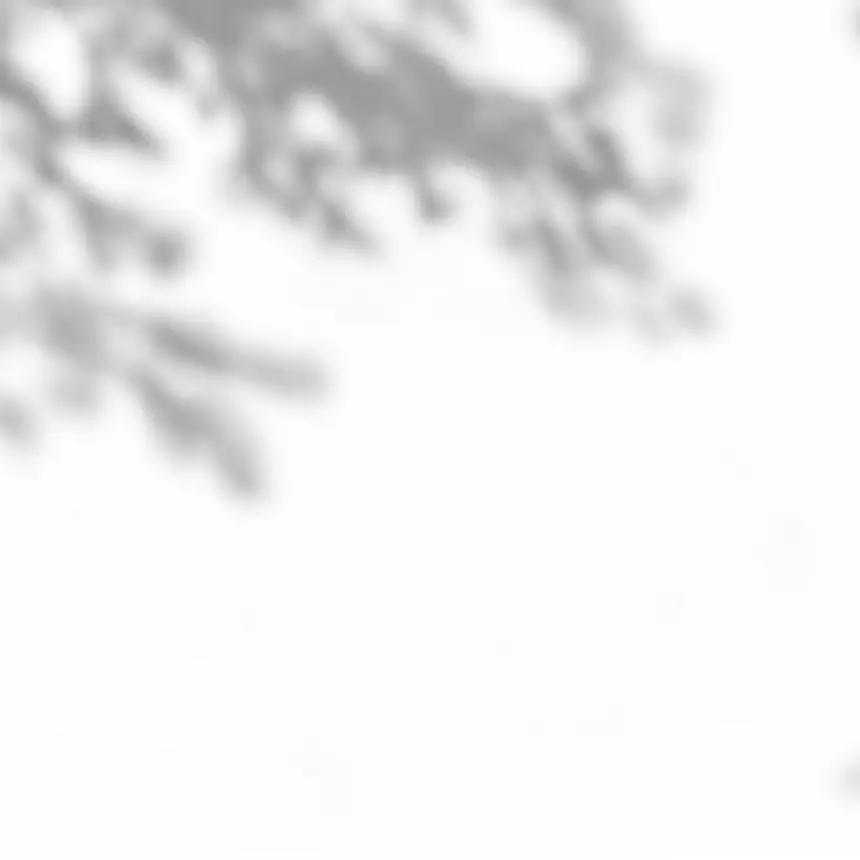 べべケアスパのアバウトのイメージ画像